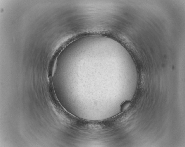 X0000087390636200705042011