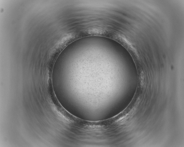 X0000087390637200705042011