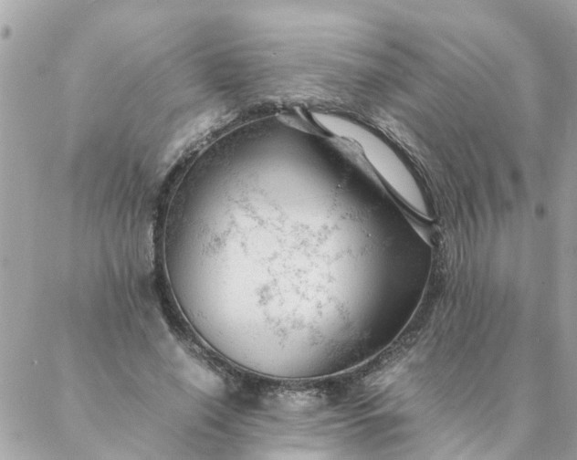 X0000087390638200705042011