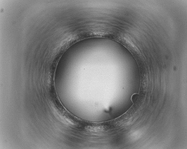 X0000087390639200705042011