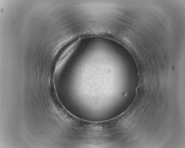 X0000087390640200705042011