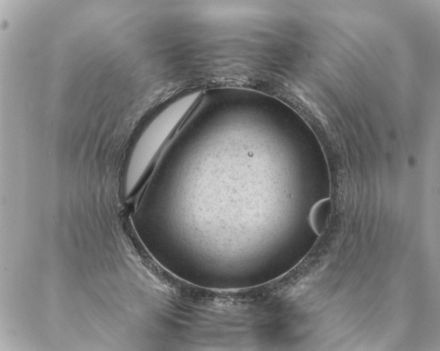 X0000087390641200705042011