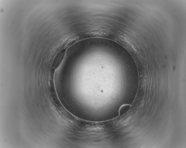 X0000087390643200705042011