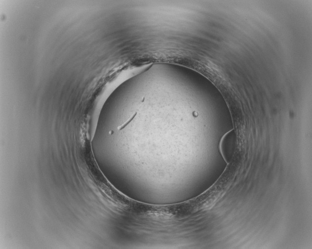 X0000087390644200705042011