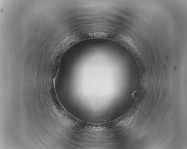 X0000087390645200705042011