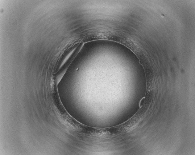 X0000087390646200705042011