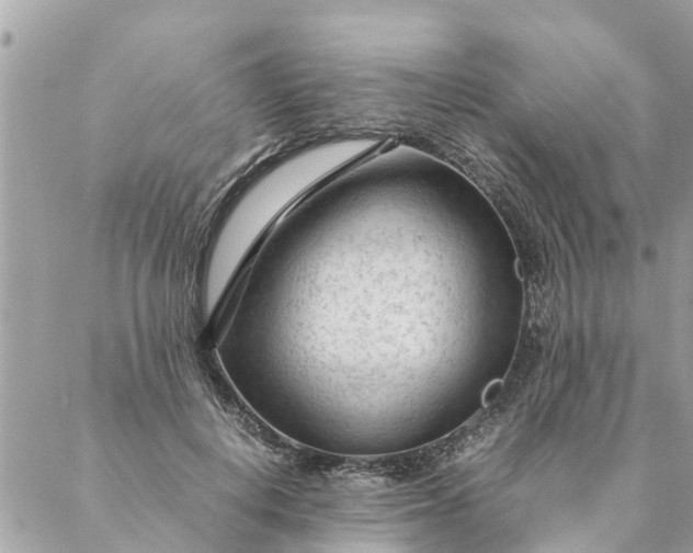 X0000087390648200705042011