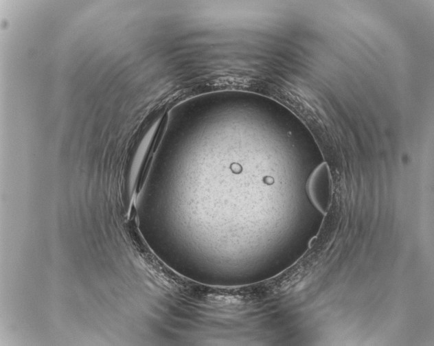 X0000087390649200705042011