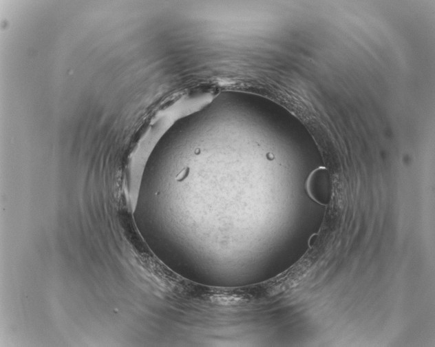 X0000087390650200705042011