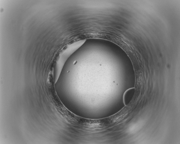 X0000087390651200705042011