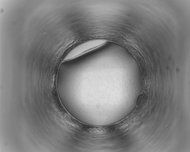 X0000087390652200705042011