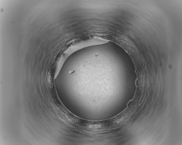 X0000087390653200705042011