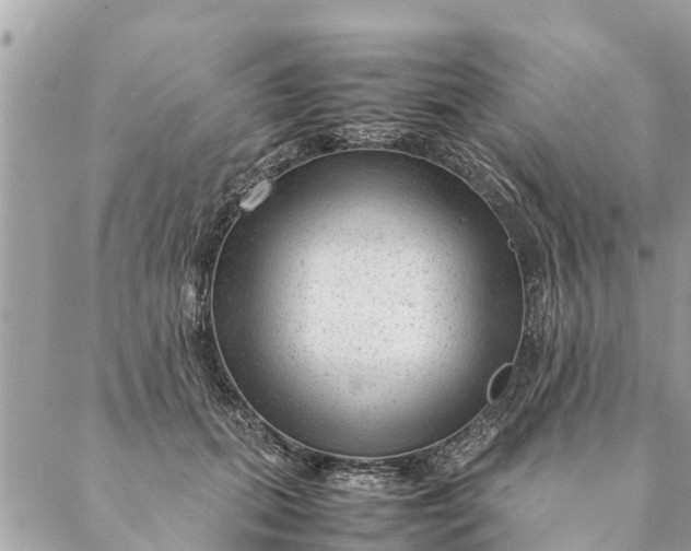 X0000087390655200705042011