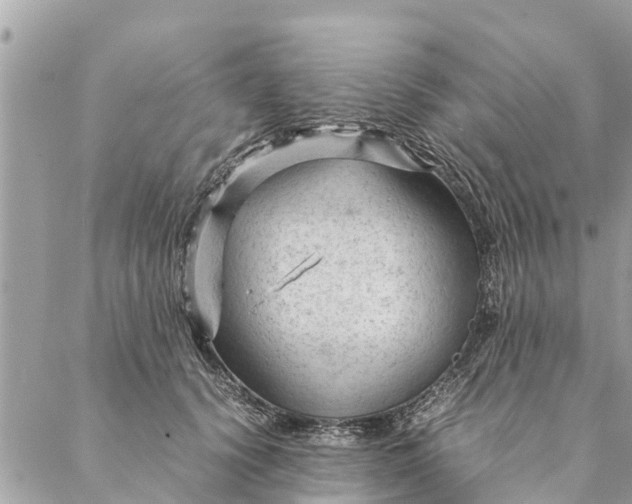 X0000087390656200705042011