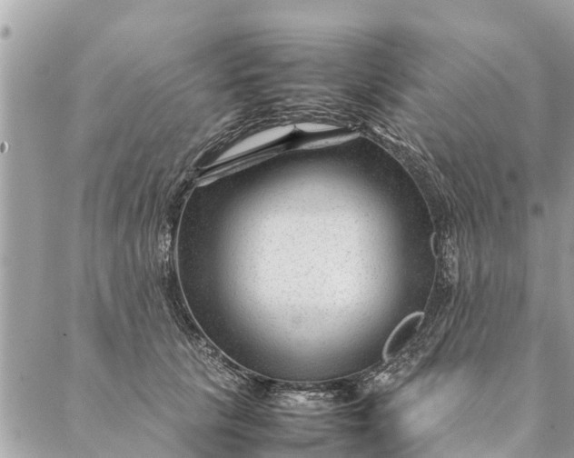 X0000087390657200705042011