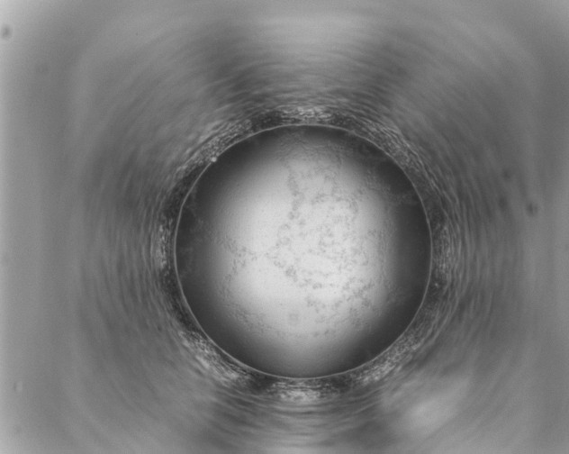 X0000087390658200705042012