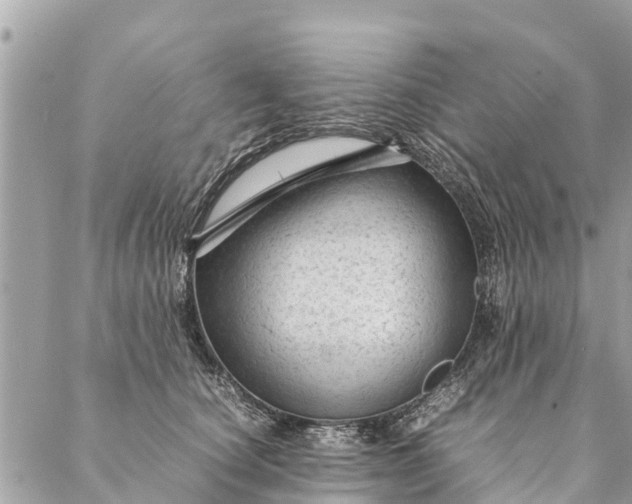 X0000087390660200705042012