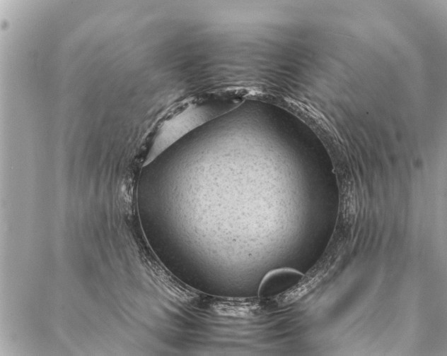 X0000087390661200705042012