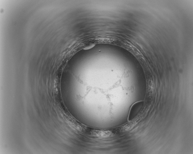 X0000087390663200705042012