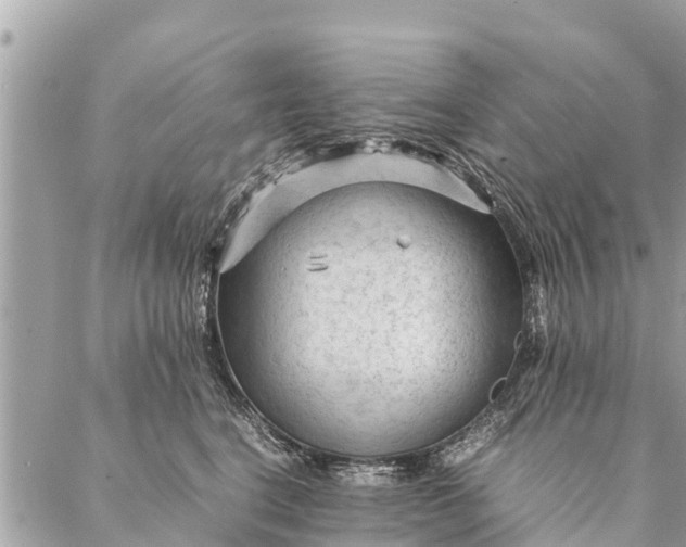 X0000087390664200705042012