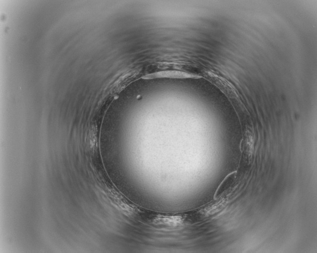 X0000087390665200705042012