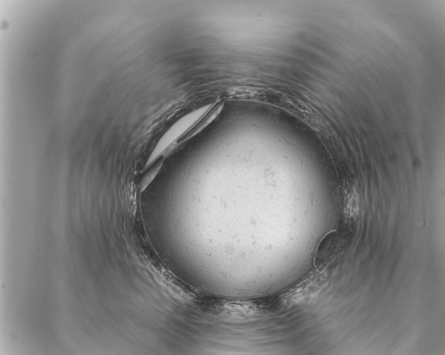 X0000087390666200705042012