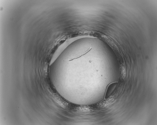 X0000087390668200705042012