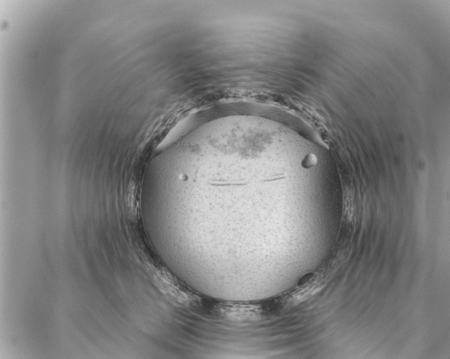 X0000087390670200705042012