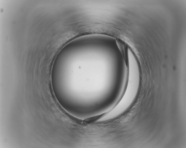 X0000087390673200705042011