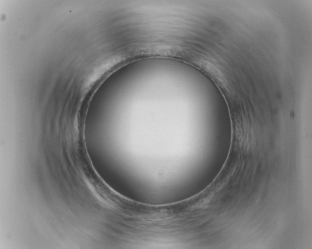 X0000087390674200705042011