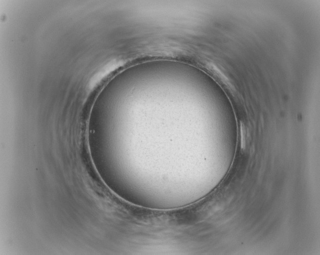 X0000087390675200705042011