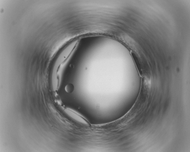 X0000087390676200705042011