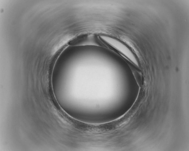 X0000087390677200705042011