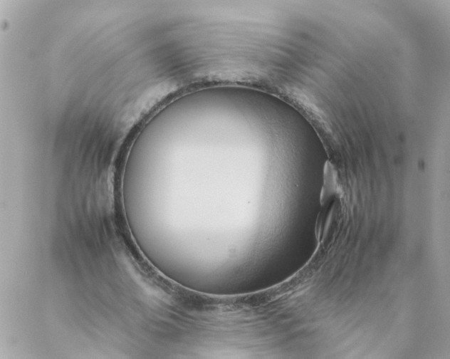 X0000087390678200705042011