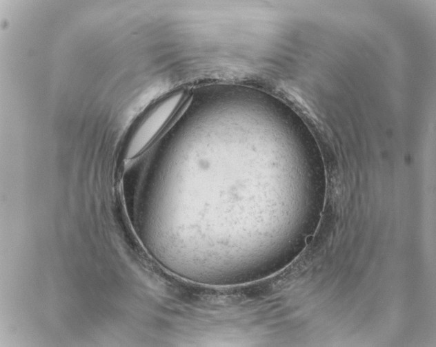 X0000087390679200705042011