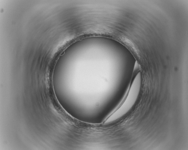 X0000087390680200705042011