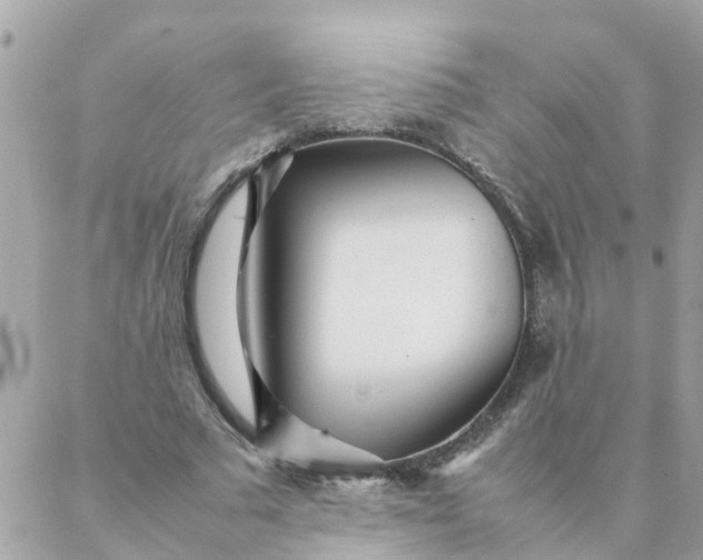 X0000087390681200705042011