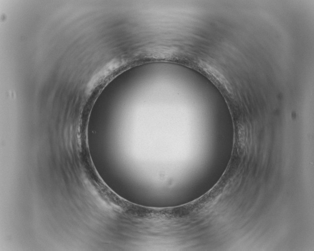 X0000087390682200705042011