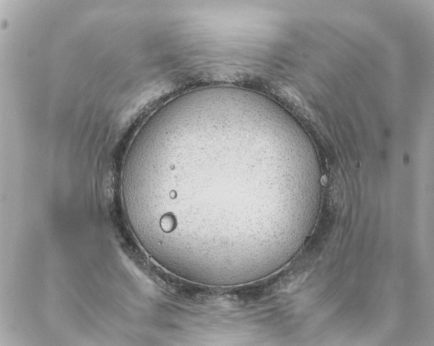 X0000087390683200705042011