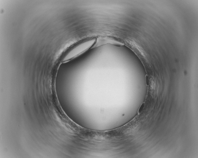 X0000087390684200705042011