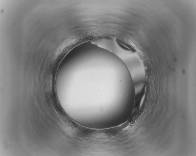 X0000087390685200705042011