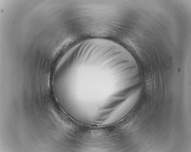 X0000087390686200705042011