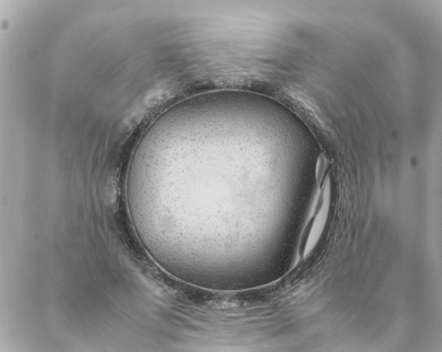 X0000087390687200705042011