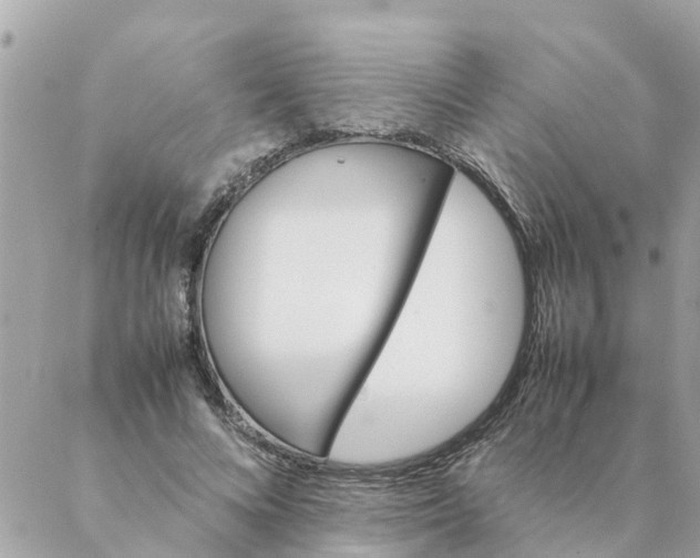 X0000087390688200705042011