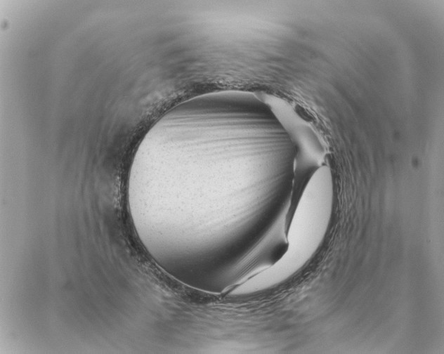 X0000087390689200705042011