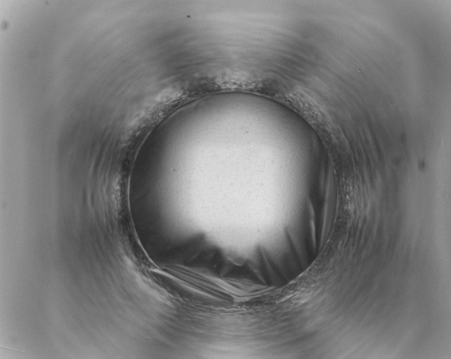 X0000087390690200705042011