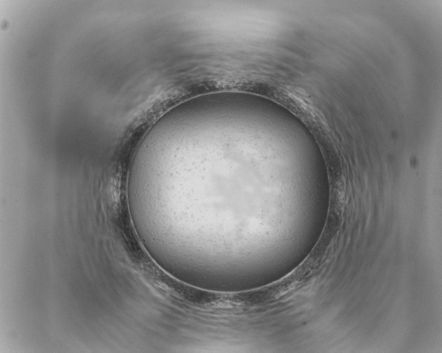 X0000087390691200705042011