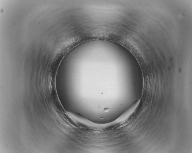 X0000087390692200705042011