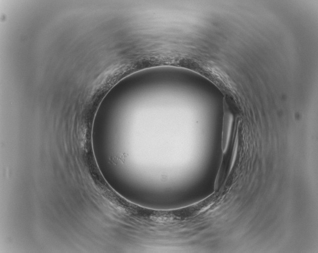 X0000087390693200705042011