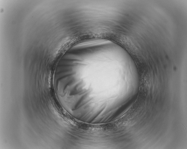 X0000087390694200705042011